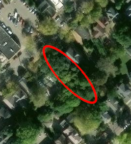 Sunlight sensor test lot tree canopy